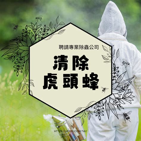 住家土蜂窩|【防治項目｜除蜜蜂】蜜蜂清除終極指南：安全 